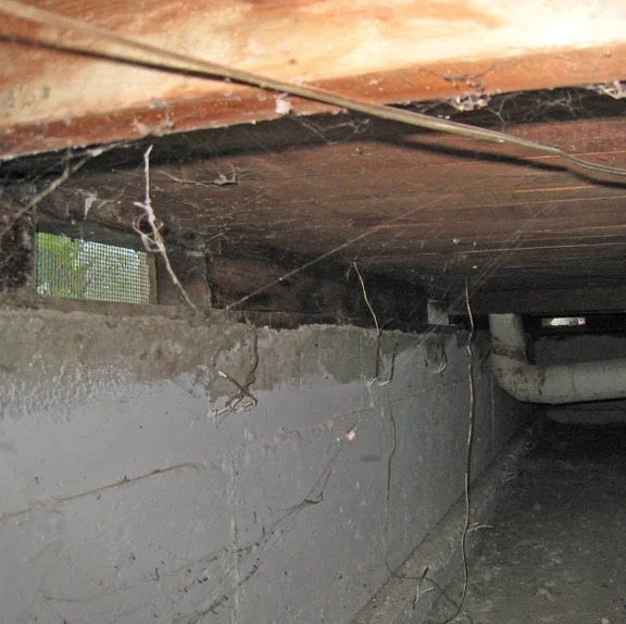 Crawl Space Water Extraction in Owyhee, ID