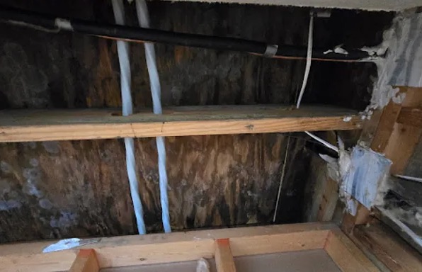 Window Leak Water Removal in Buhl, ID