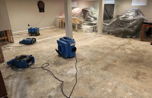 Structural Drying Services in Buhl, ID