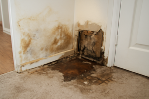 Emergency Damage Restoration